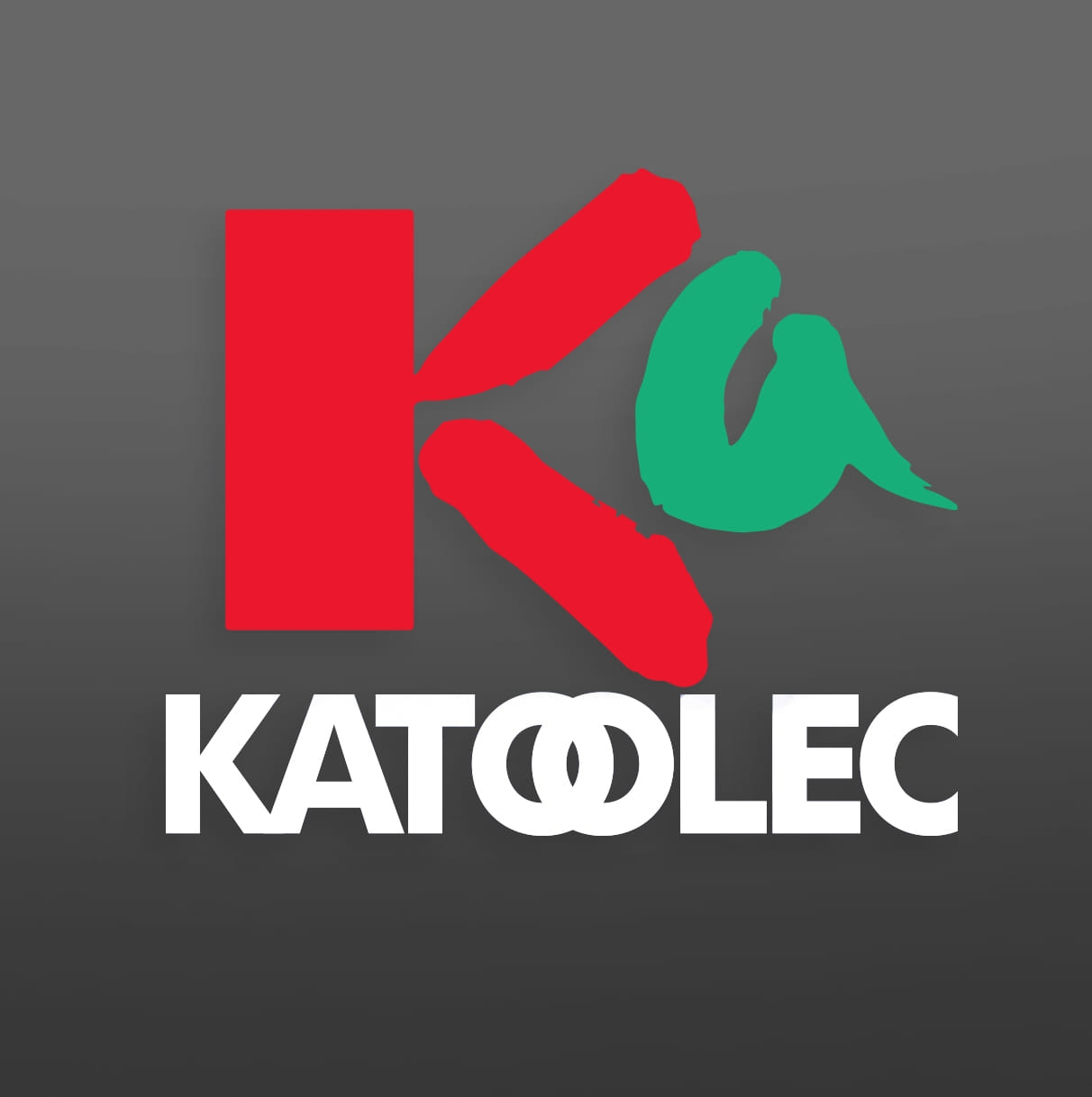 KATOLEC DE BAJA CALIFORNIA SA DE CV