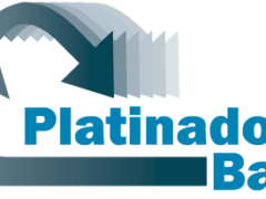 PLATINADORA BAJA