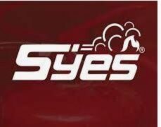 Logo de EMPRESAS SYES