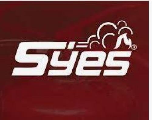 Logo de EMPRESAS SYES