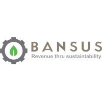 BANSUS INTERNATIONAL RECOVERY DE MEXICO