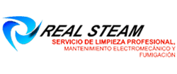 Logo de REAL STEAM DE MEXICO