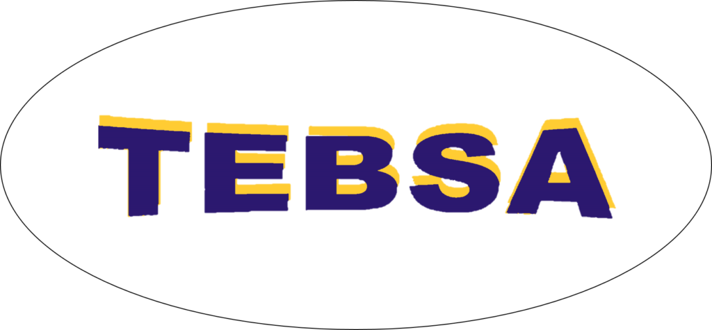 Logo de TEBSA TRANSPORTE