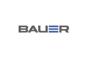 BAUER ELECTRÓNICA, S.A. DE C.V. - Discover Business