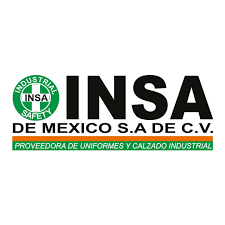 INSA DE MÉXICO - Discover Business