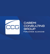 CCG CONSULTING GROUP