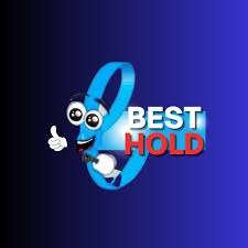 Logo de BEST HOLD