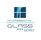 PROFESSIONAL GLASS