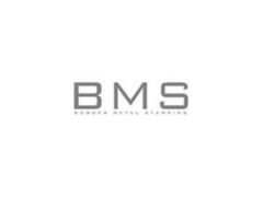 BMS.jpg