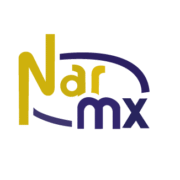NARMX